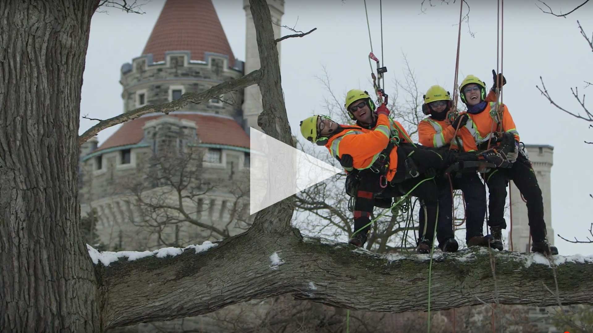 SPADINA HOUSE VOLUNTEER TREE WORK