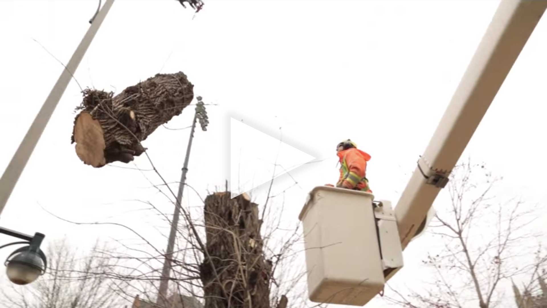 BUCKET REMOVAL
