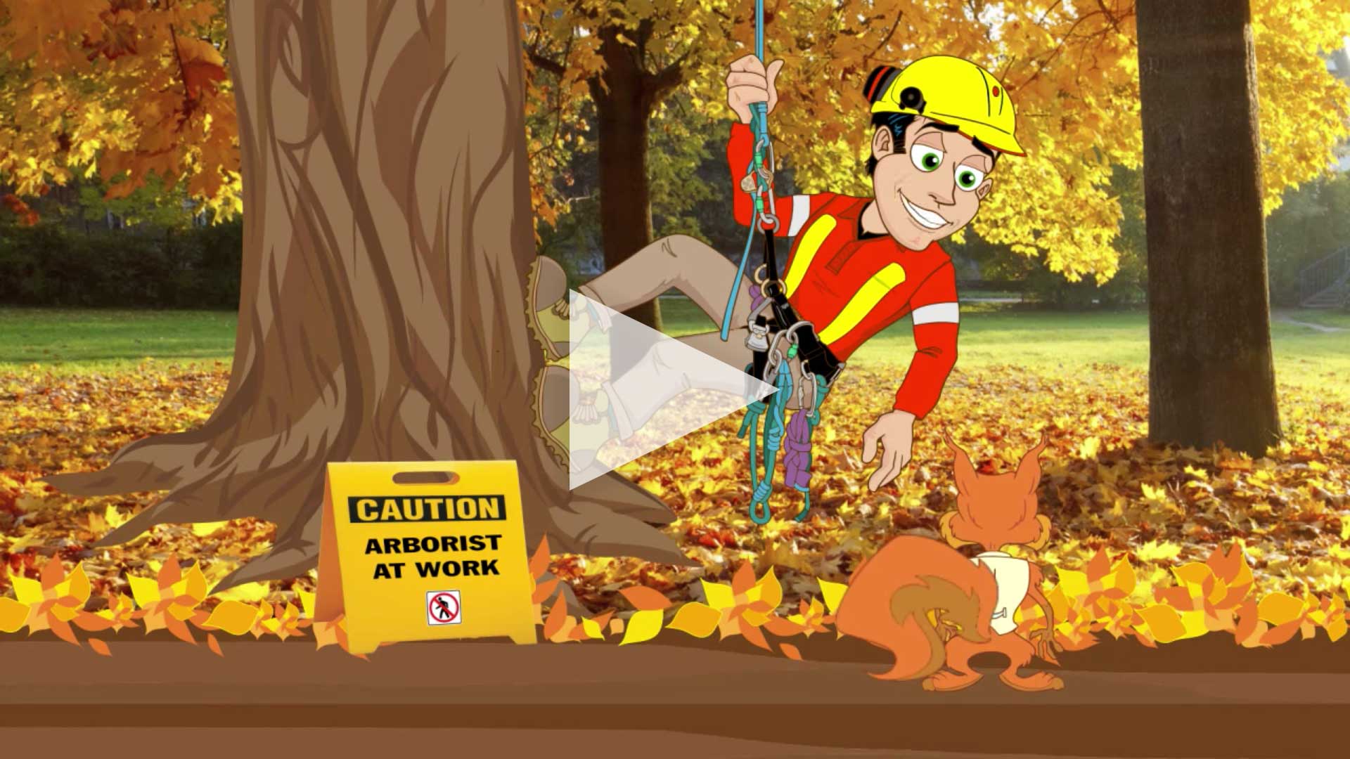 CHATTERER MEETS ARBORIST