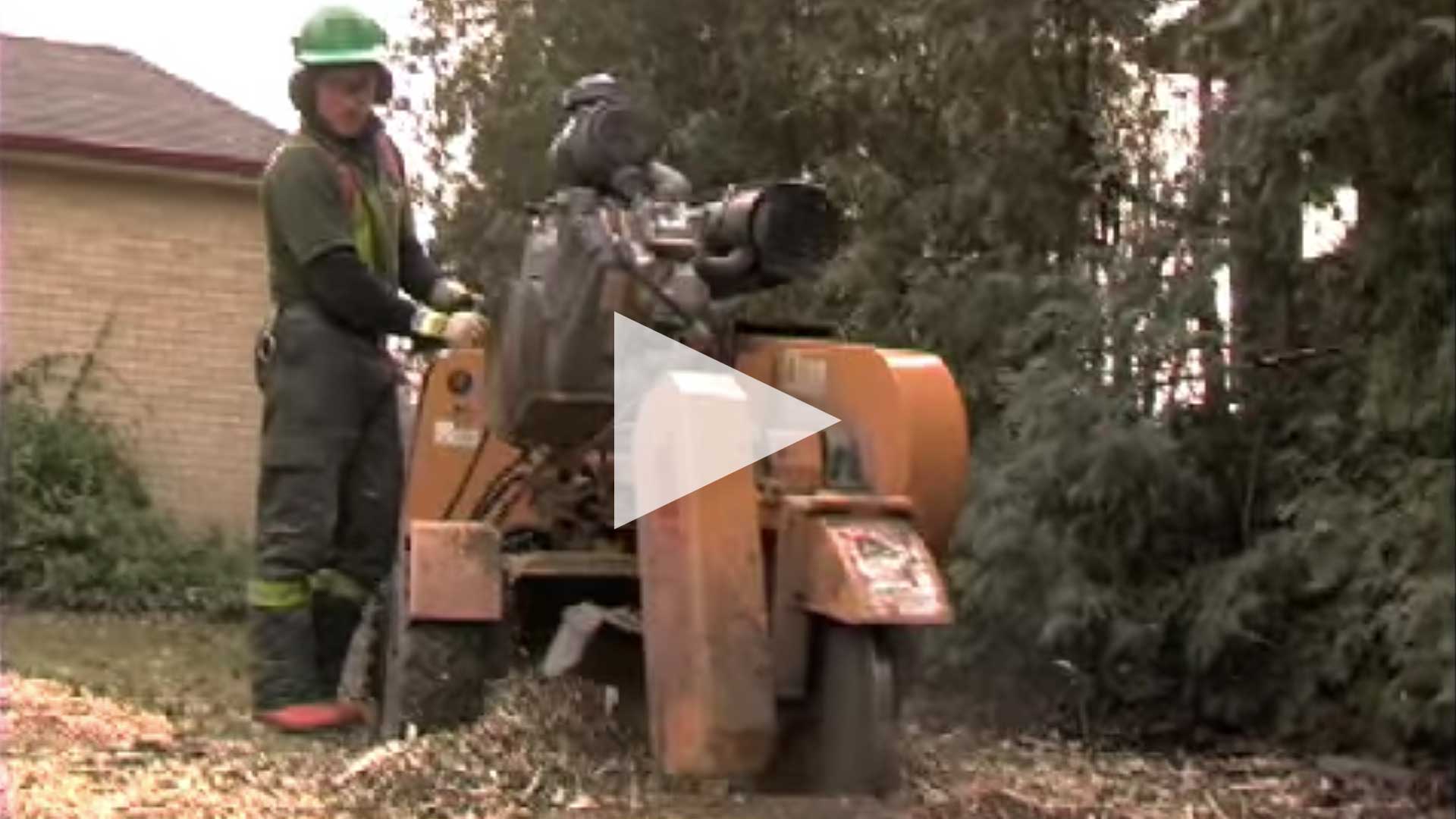 STUMP REMOVAL
