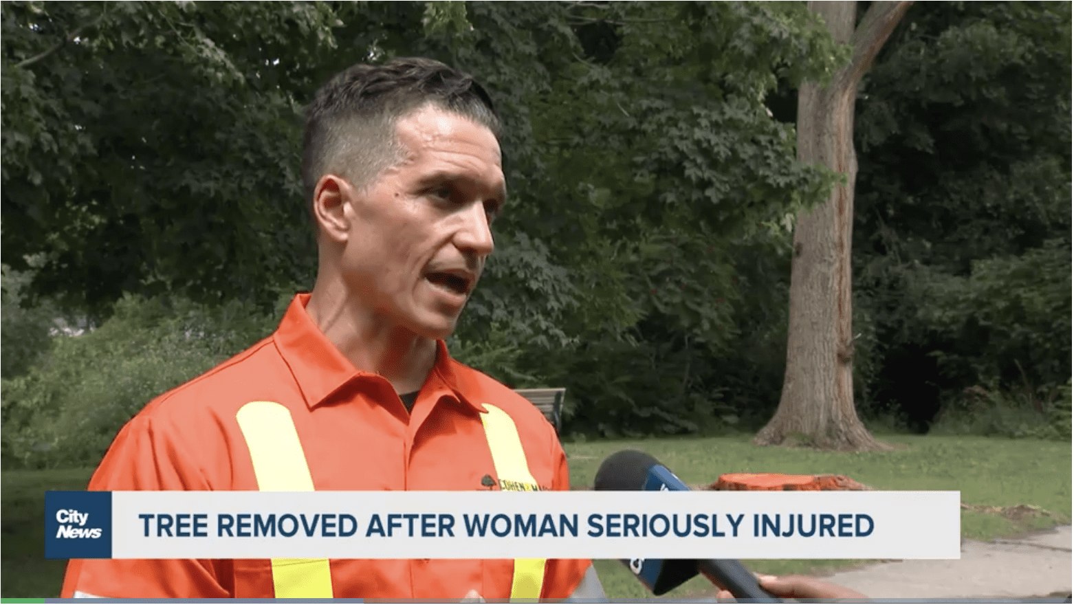 CITYTV - TREE REMOVED AFTER WOMAN SERIOUSLY INJURED