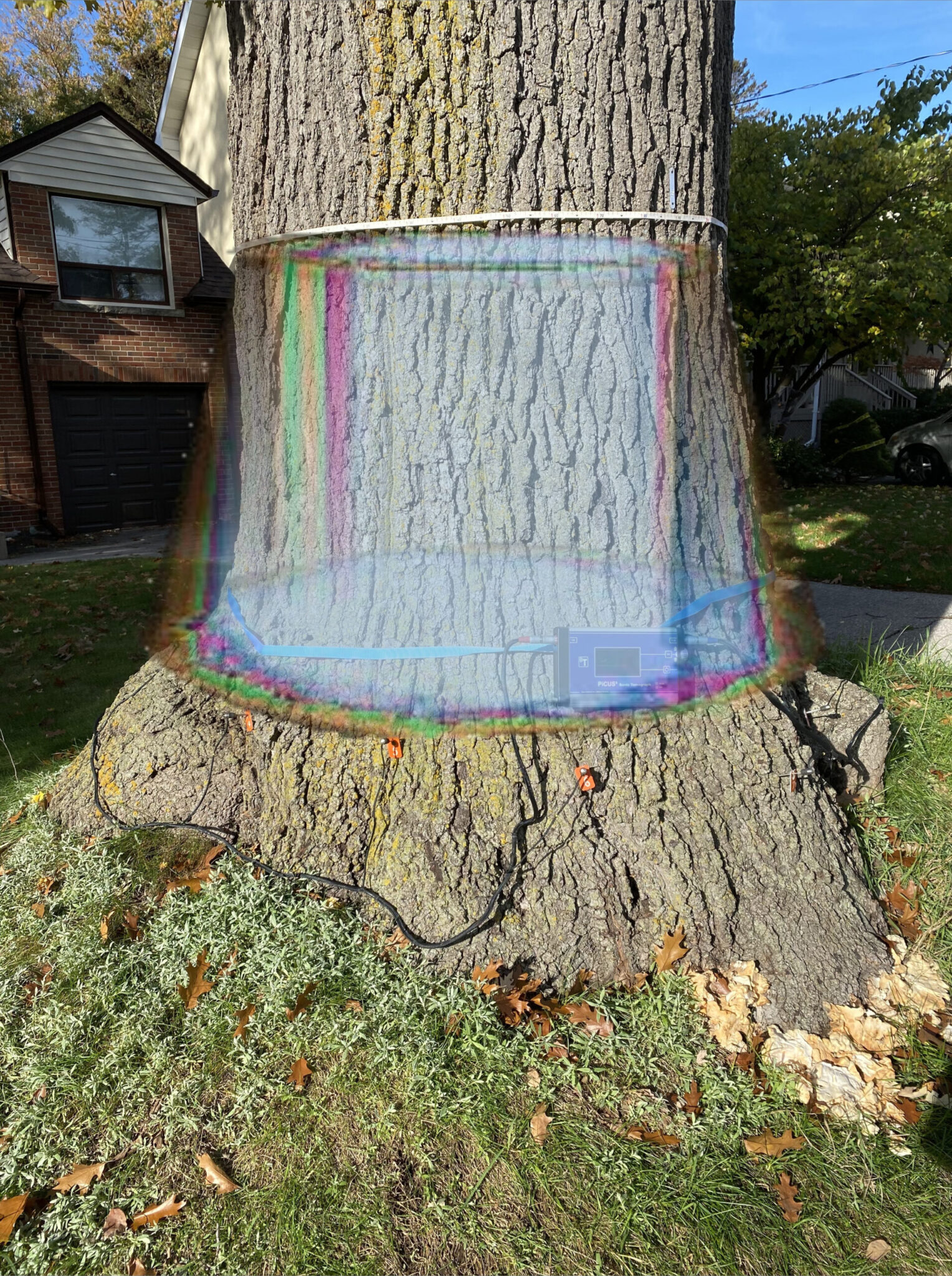 Oak Tomography